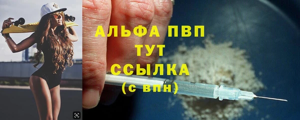 мет Алексин