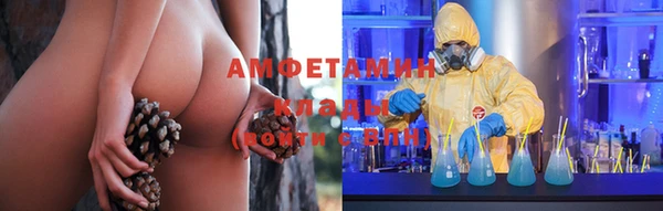 ПСИЛОЦИБИНОВЫЕ ГРИБЫ Алексеевка