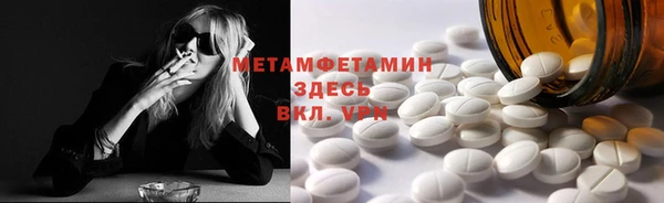 мет Алексин