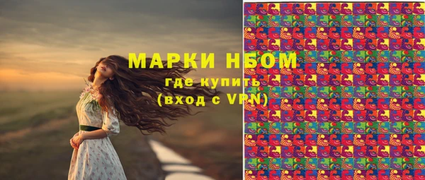 мет Алексин