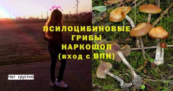 мяу мяу мука Алзамай